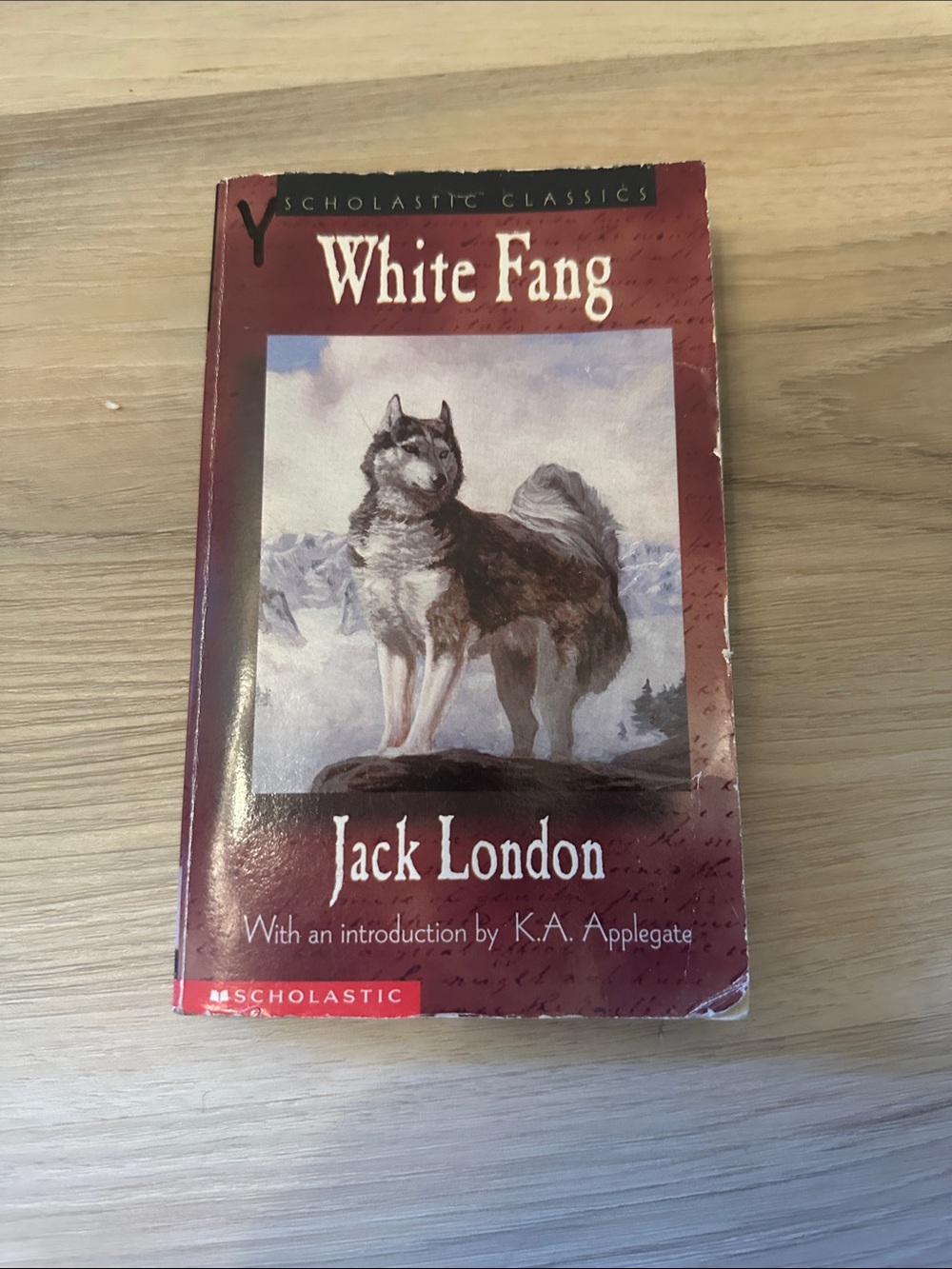 Scholastic White Fang Paperback - Maroon Cover with Wolf Art
